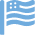 flag icon